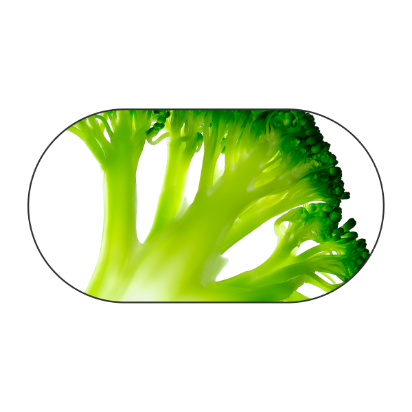 Broccoli