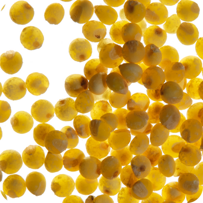 Millet